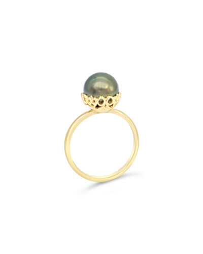 Filigree Ring with Abrolhos Pearl - 9ct Yellow Gold
