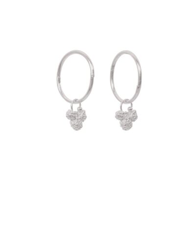 Wattle Sleepers - Sterling Silver