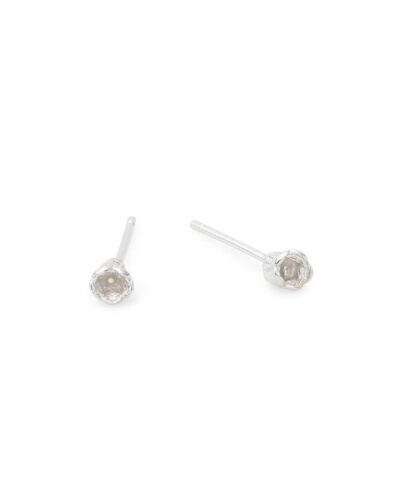 Melaleuca Pod Studs - Sterling Silver