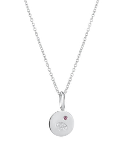 Birthflower Necklace (January) - Sterling Silver