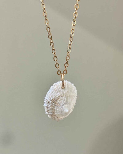 Limpet Shell Necklace - 14K Gold Filled