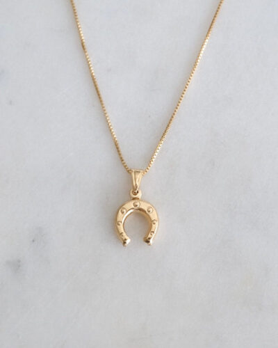 Horseshoe Necklace